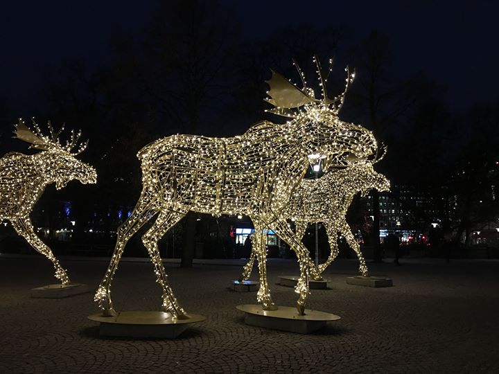 4a5d61181b47b6cd1d7b309e80a42469